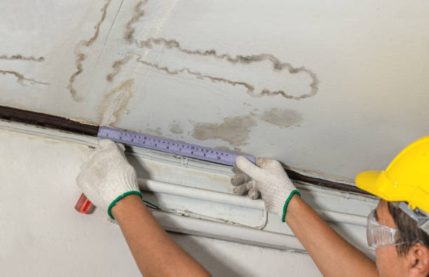 Reliable Mold Remediation contractor in Morganton, GA by Water Damage Irwin
